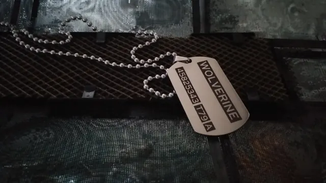 Wolverine themed dog tag with name and number